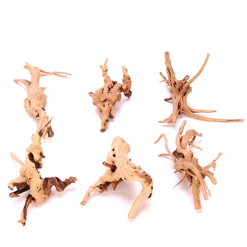 Aquarium Plant Live - 1 Pcs Wood Reptile Fish Tank