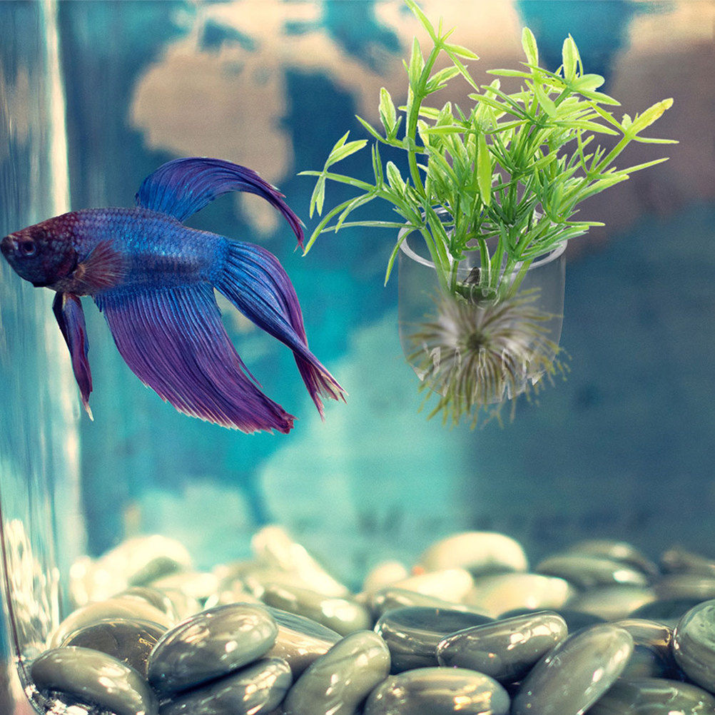Aquarium Planted Tank Setup - 10Pcs Acrylic Aquarium Planter Cups Adjustable