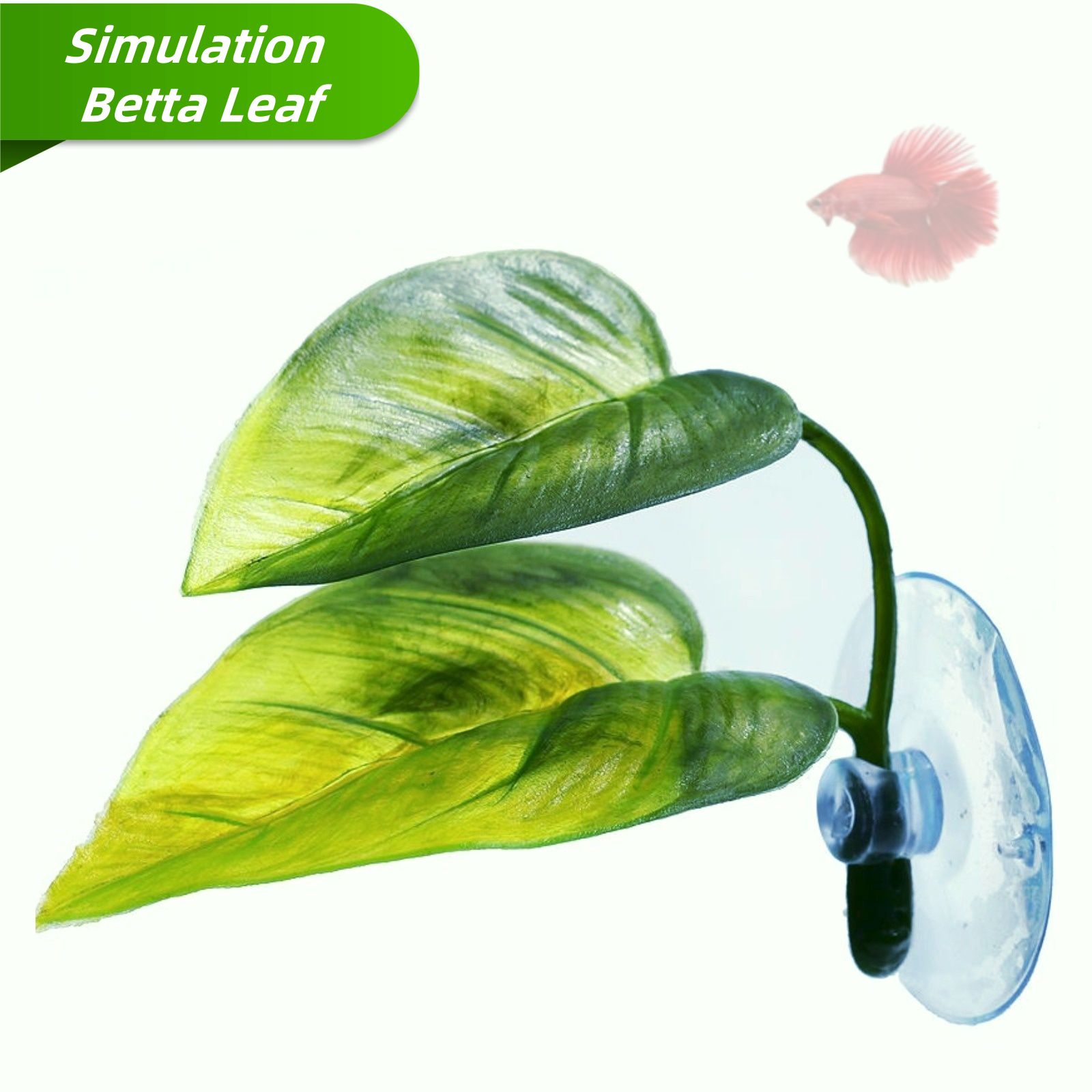 Planted Aquarium Betta - Pets Fish Tank Decor Betta Relax