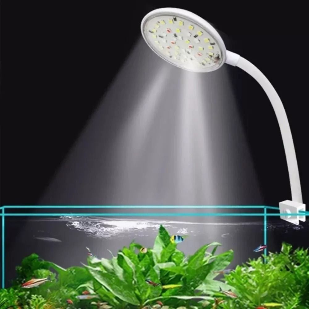 Aquarium Plant Live - New Mini Fish Tank Clip Lamp