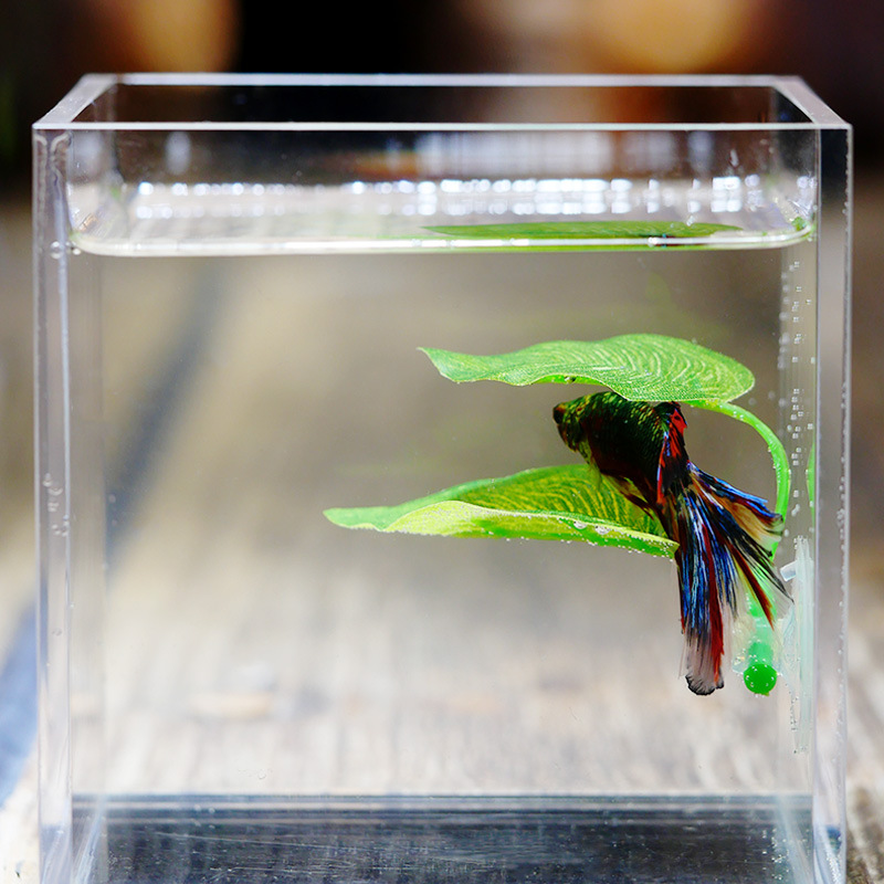 Planted Aquarium Betta - Artificial Aquarium Leaf Plants Decoration Betta