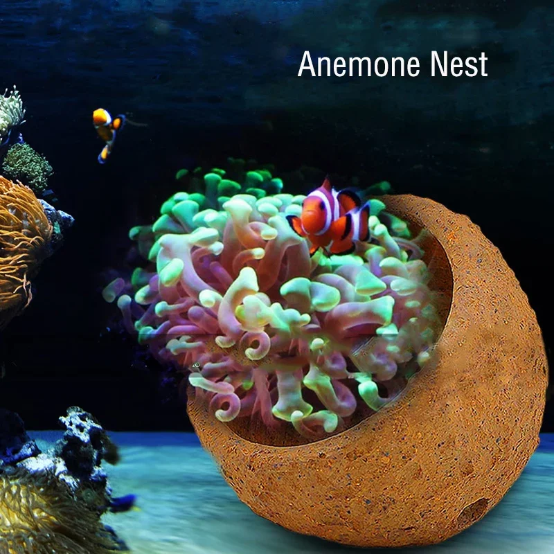 Anemone Nest Prevent Running A - Aquarium Planted Tank Soil avis et prix