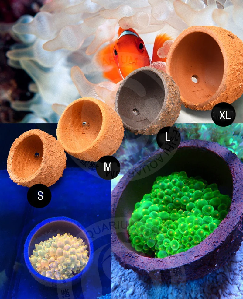 Anemone Nest Prevent Running A - Aquarium Planted Tank Soil avis et prix