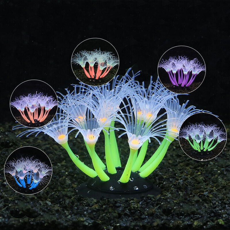 Silicone Glowing Landscape Art - Aquarium Plant Live avis et prix