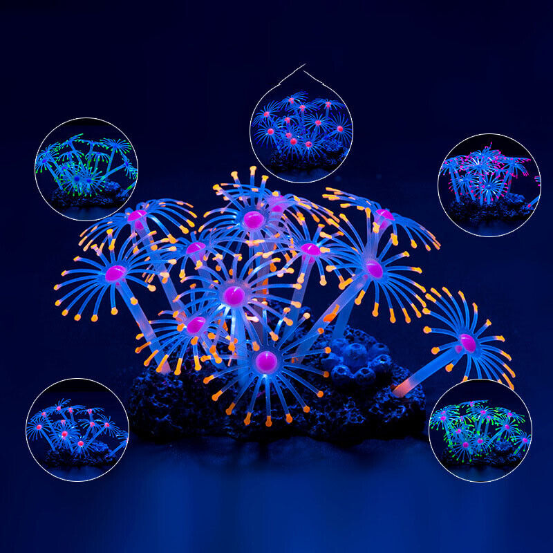 Silicone Glowing Landscape Art - Aquarium Plant Live avis et prix