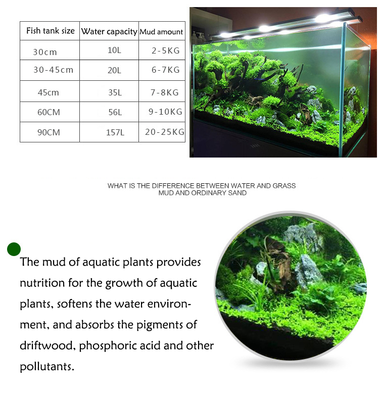 Aquarium Water Grass Mud Plant - Aquarium Plant Seeds avis et prix