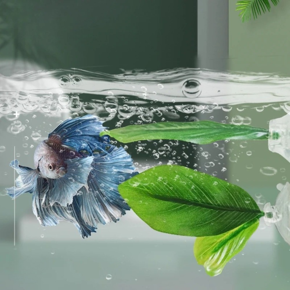 Lotus leaf Betta Fish Hammock  - Planted Aquarium Betta avis et prix