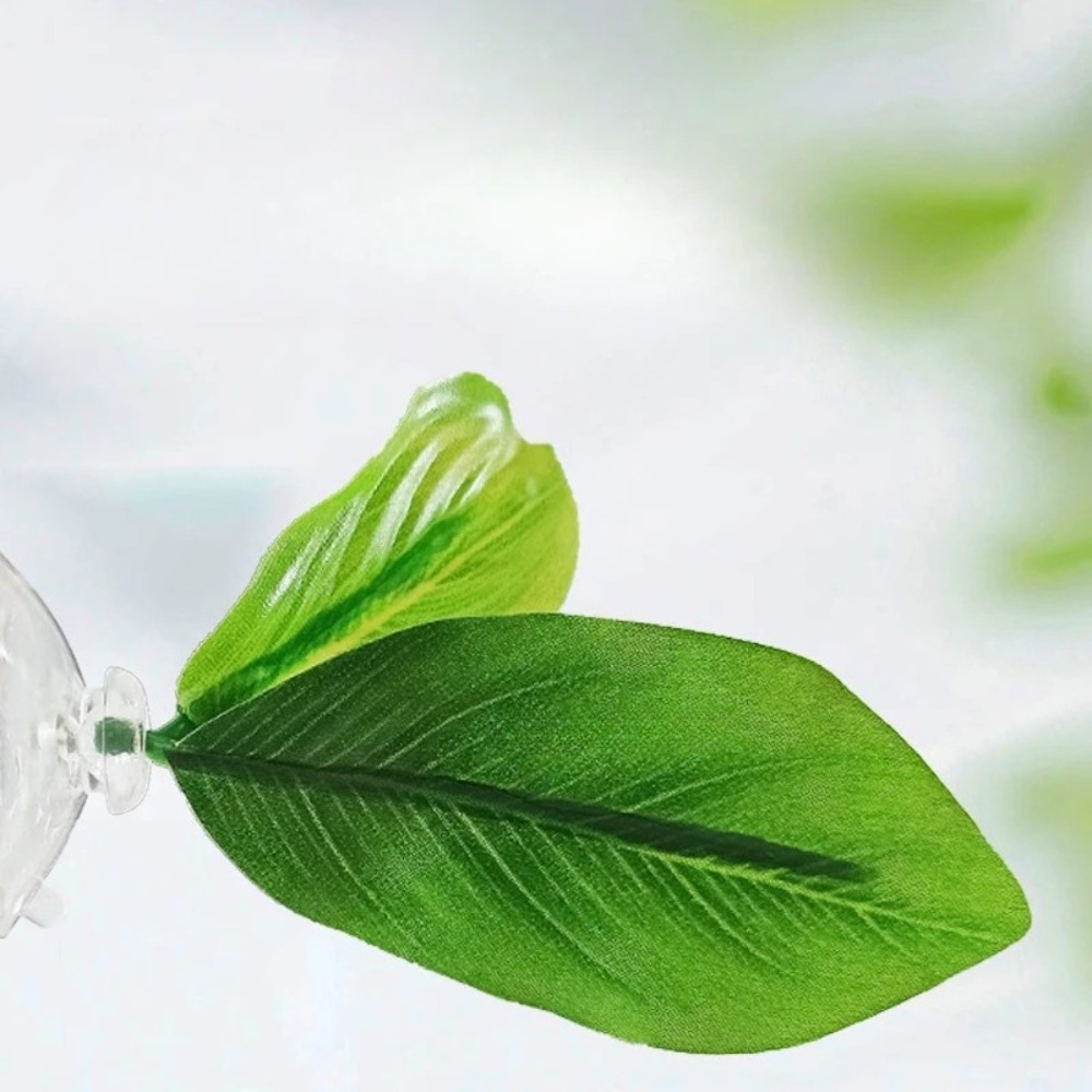 Lotus leaf Betta Fish Hammock  - Planted Aquarium Betta avis et prix