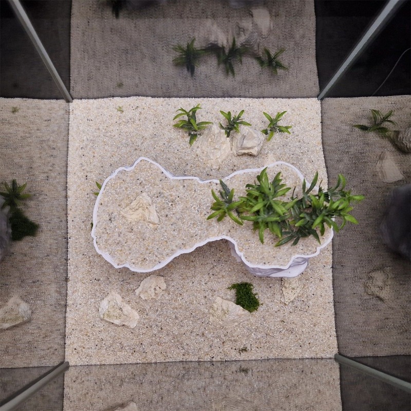 Aquarium 3D Printed Planting B - Aquarium Planted Tank Soil avis et prix