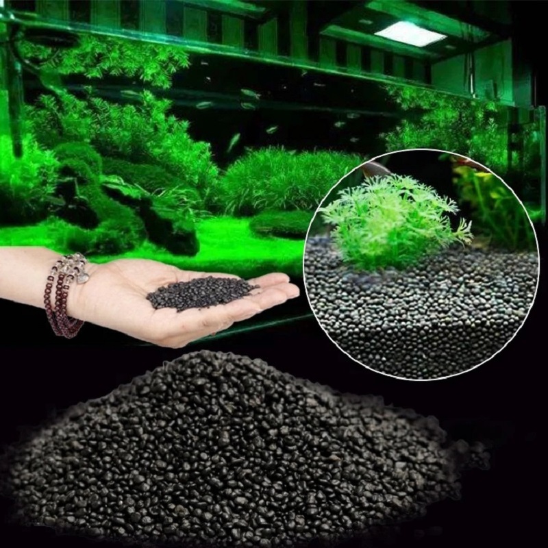 Fish Tank Water Grass Mud Plan - Aquarium Plant Seeds avis et prix