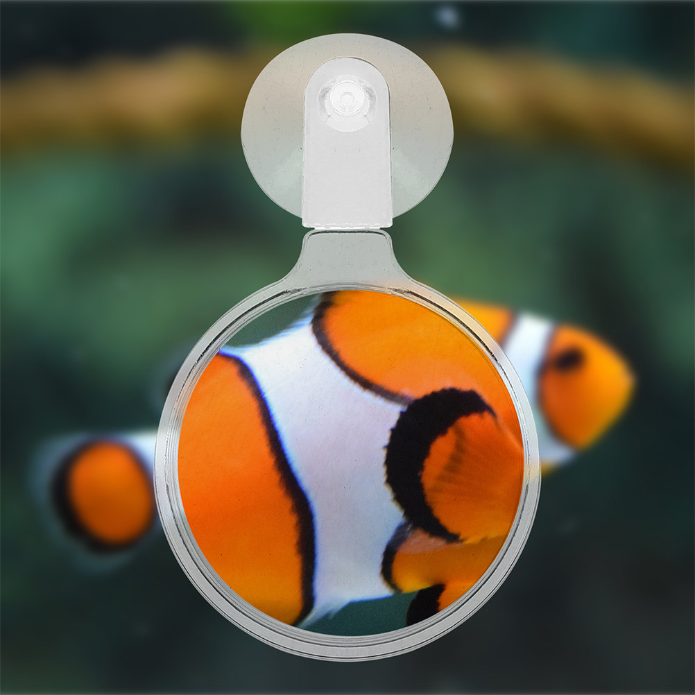 2Pcs Aquarium Magnifying Glass - Planted Aquarium Betta avis et prix
