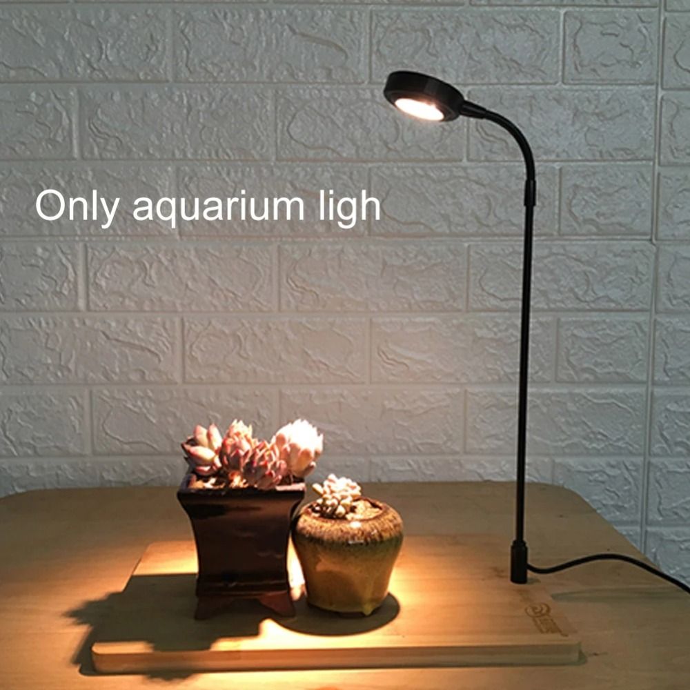10W Aquarium Plant Fill Lamp w - Aquarium Plant On Wood avis et prix