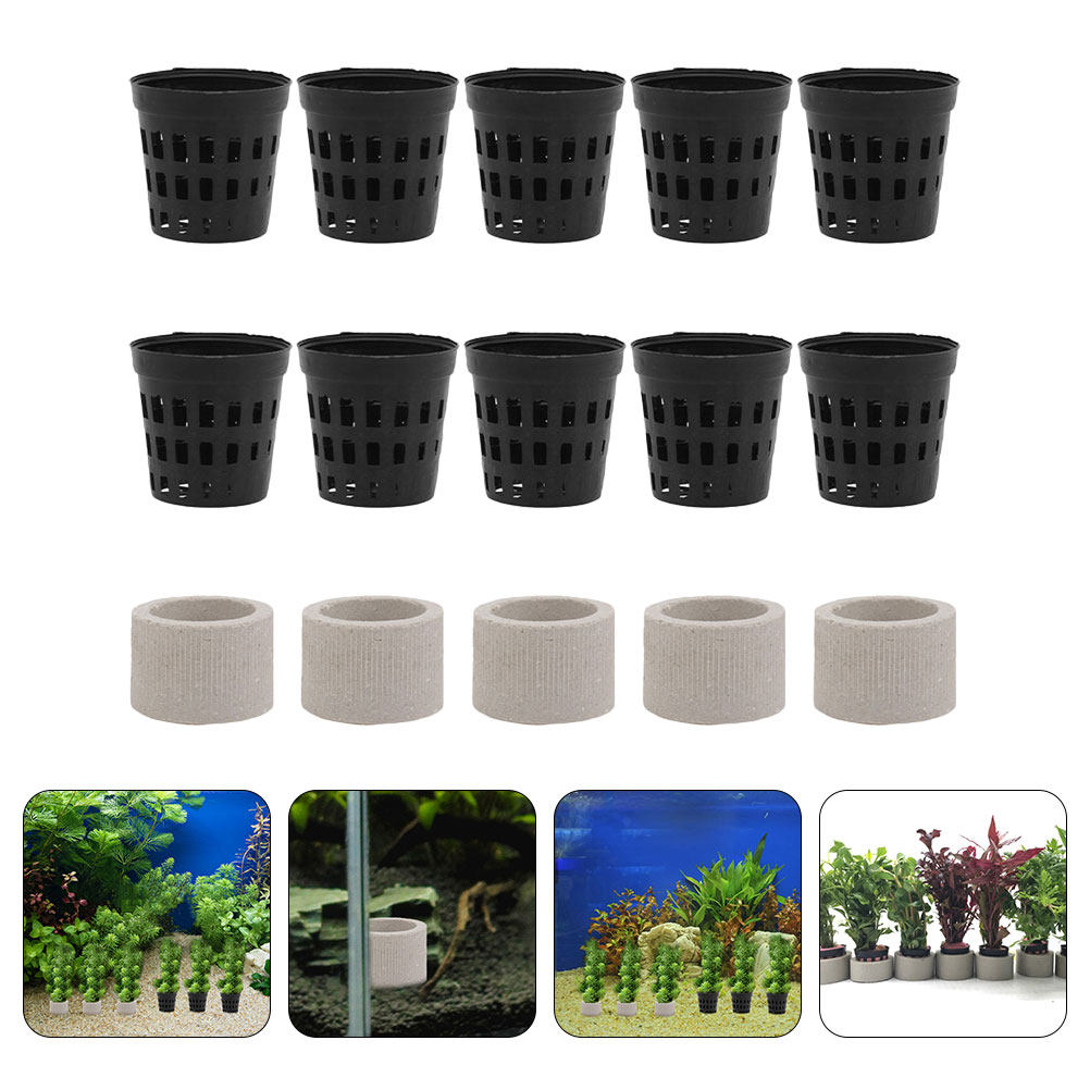 1Set Aquarium Water Plant Fixi - Aquarium Planted Tank Setup avis et prix