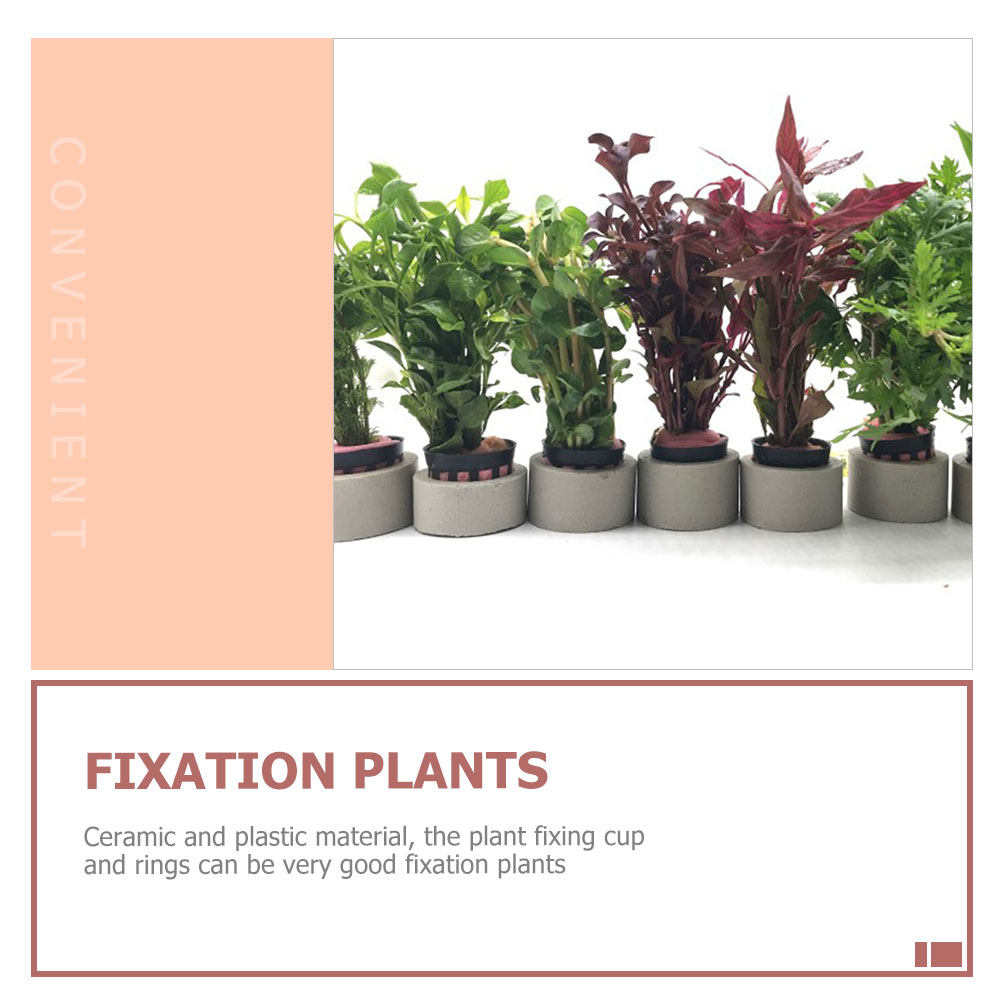 1Set Aquarium Water Plant Fixi - Aquarium Planted Tank Setup avis et prix