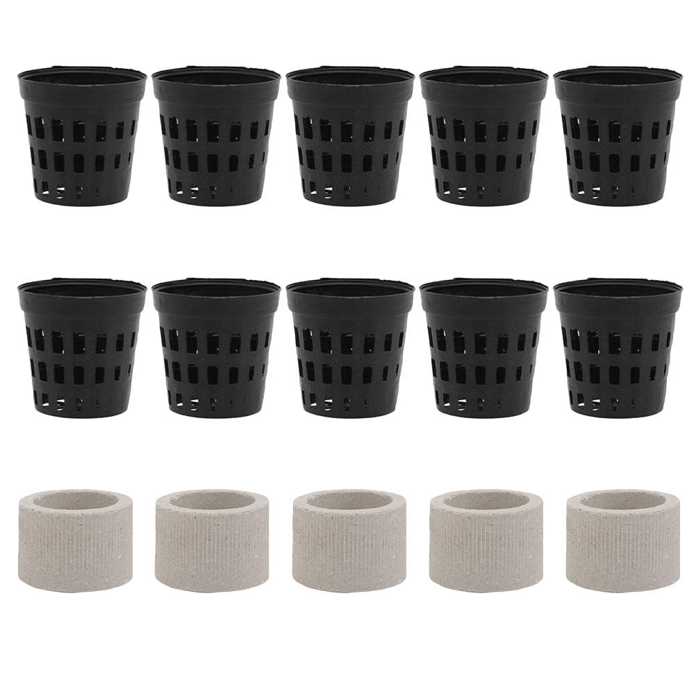1Set Aquarium Water Plant Fixi - Aquarium Planted Tank Setup avis et prix