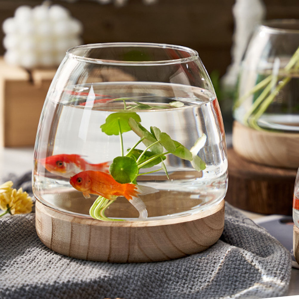 1Set Premium Glass Hydroponic  - Aquarium Planting avis et prix