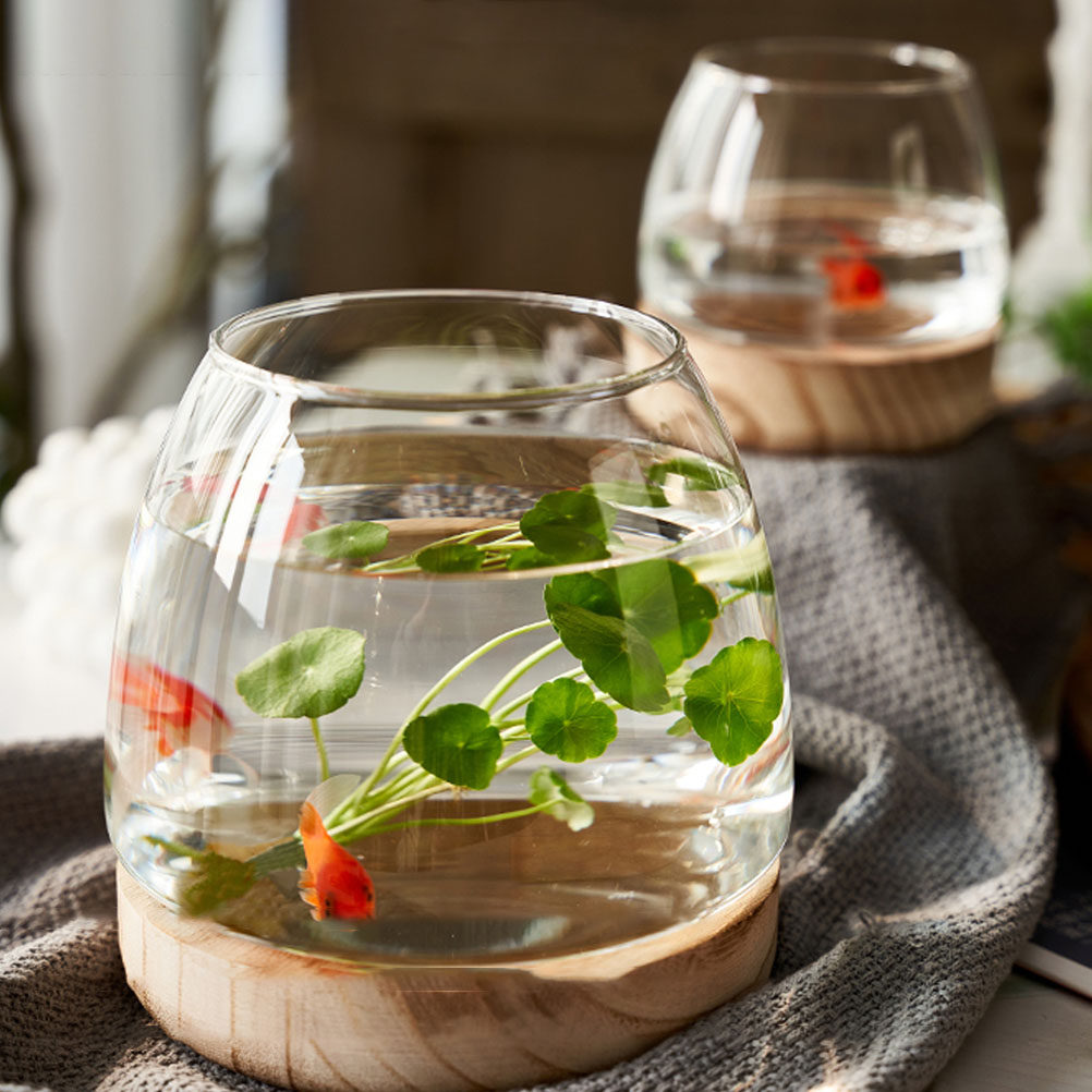 1Set Premium Glass Hydroponic  - Aquarium Planting avis et prix