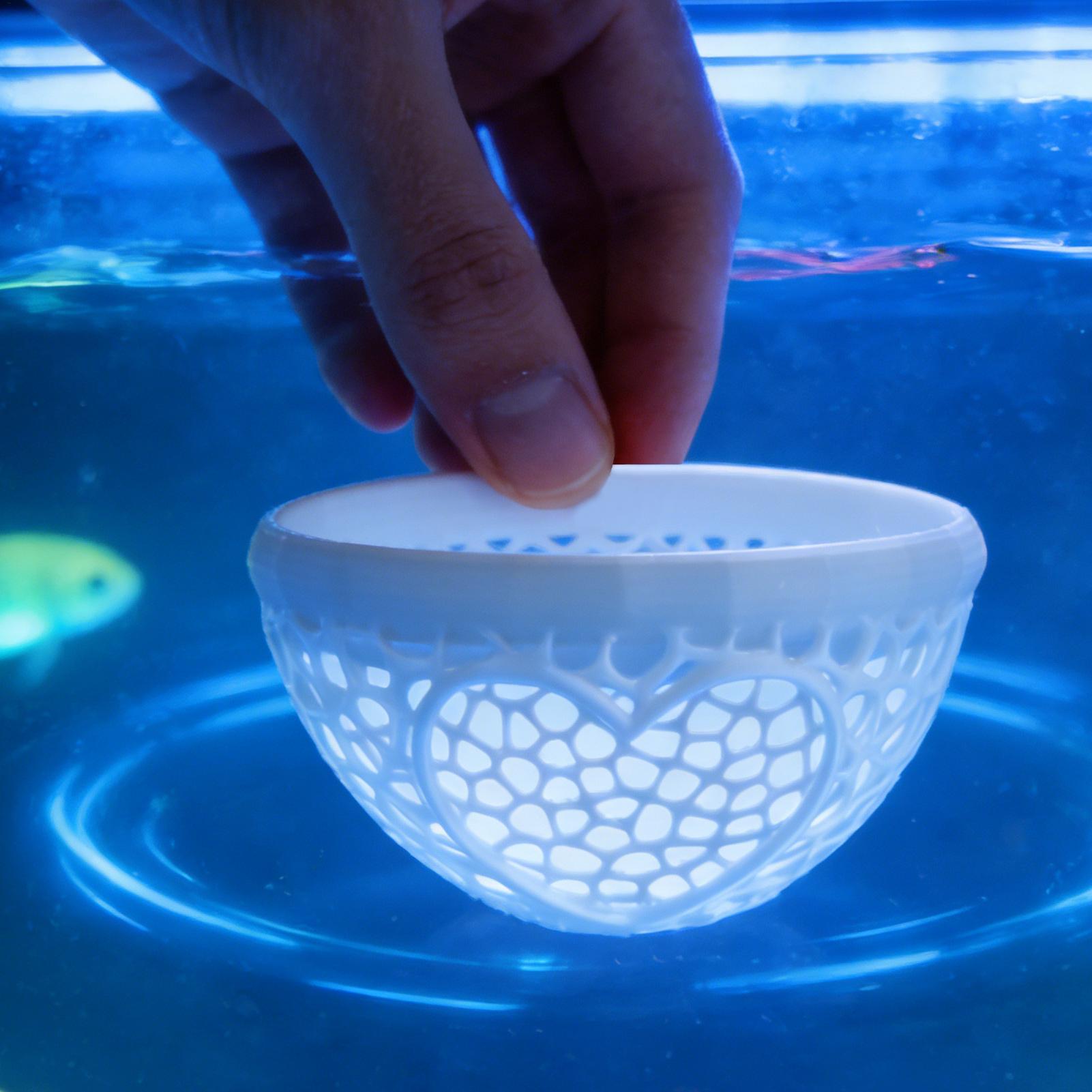 Floating betta shelter Betta h - Planted Aquarium Betta avis et prix