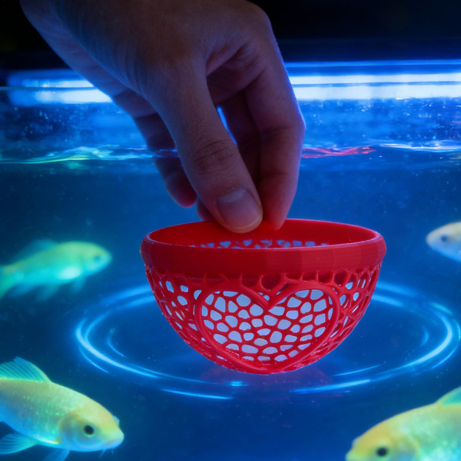 Floating betta shelter Betta h - Planted Aquarium Betta avis et prix