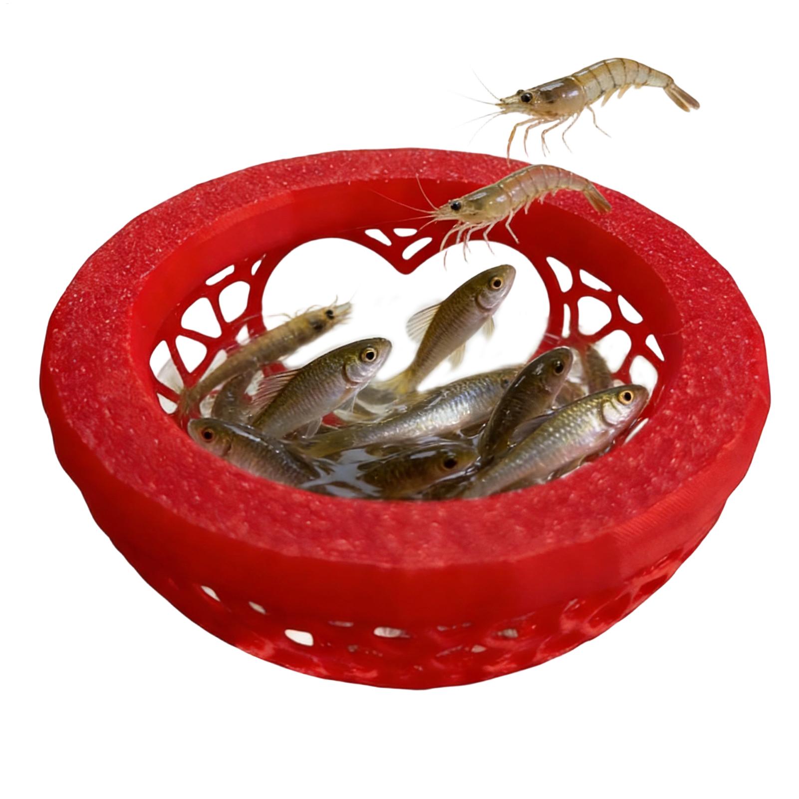 Floating betta shelter Betta h - Planted Aquarium Betta avis et prix