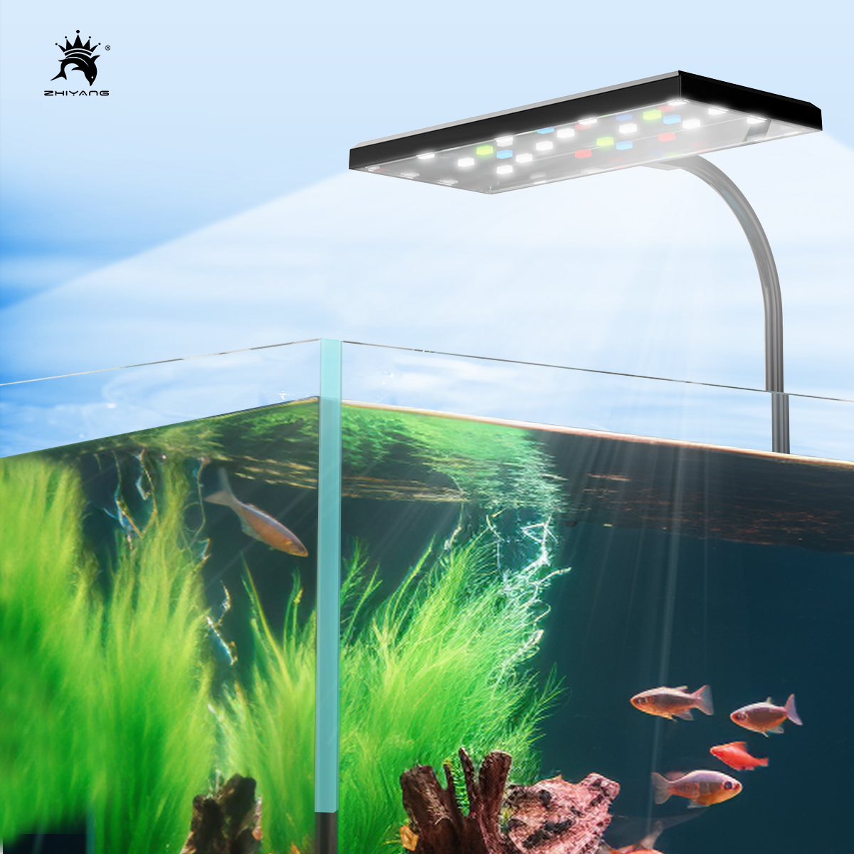 110-240V Aquarium Fish Tank Ba - Aquarium Plant Seeds avis et prix