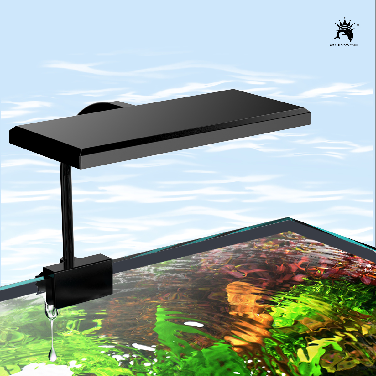 110-240V Aquarium Fish Tank Ba - Aquarium Plant Seeds avis et prix