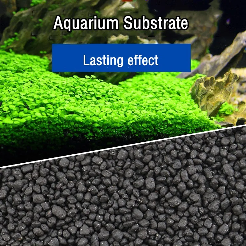 500g Fish Tank Water Plant Fer - Aquarium Planted Tank Soil avis et prix