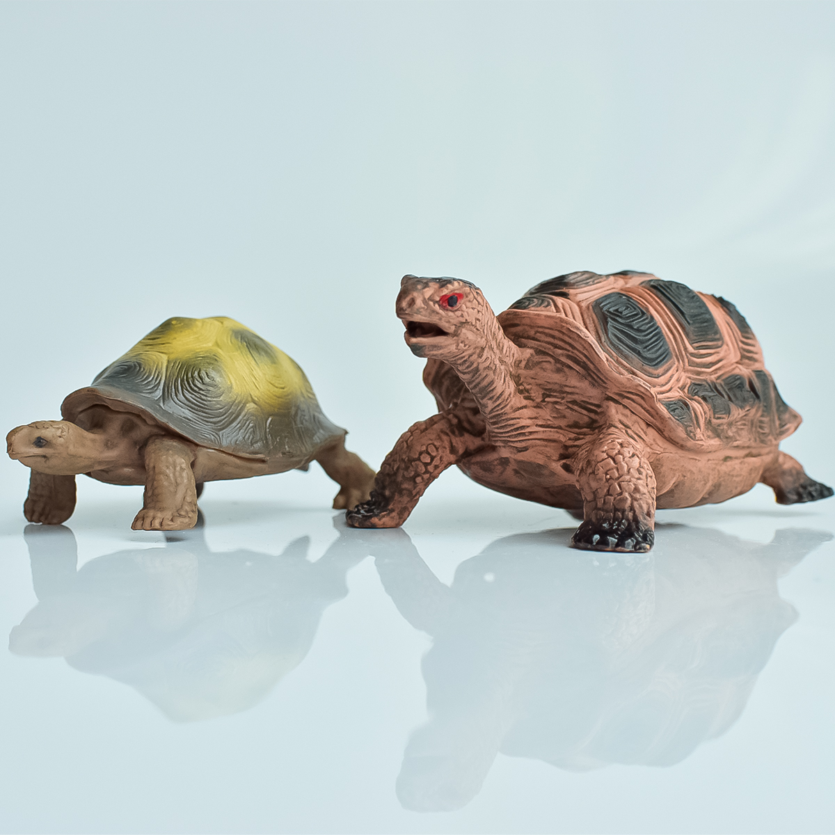 Painted Realistic Animal Turtl - Aquarium Planting avis et prix