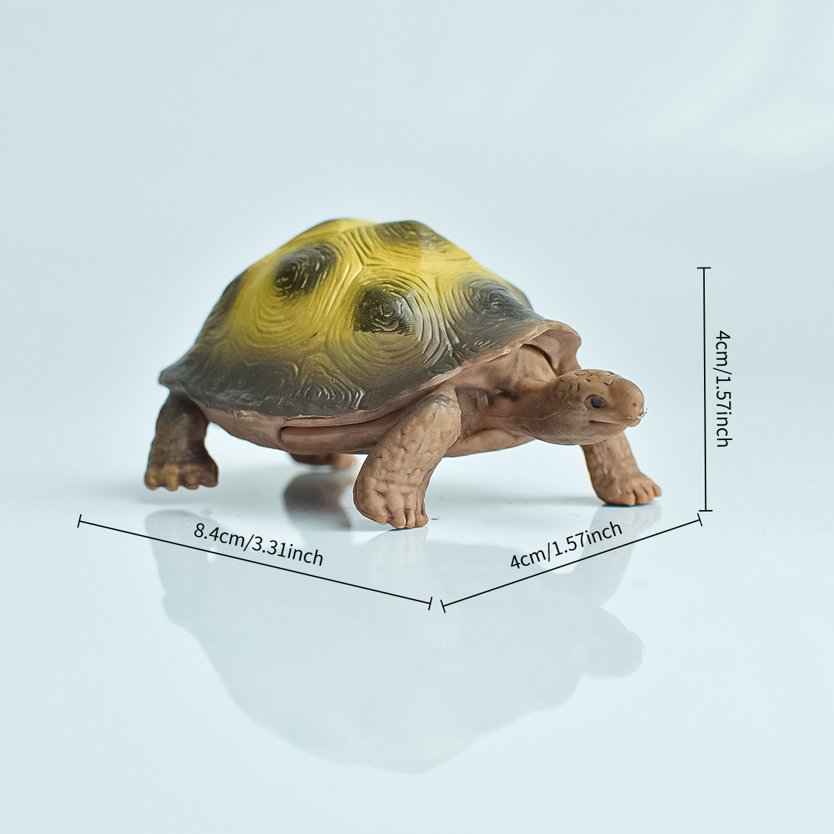 Painted Realistic Animal Turtl - Aquarium Planting avis et prix