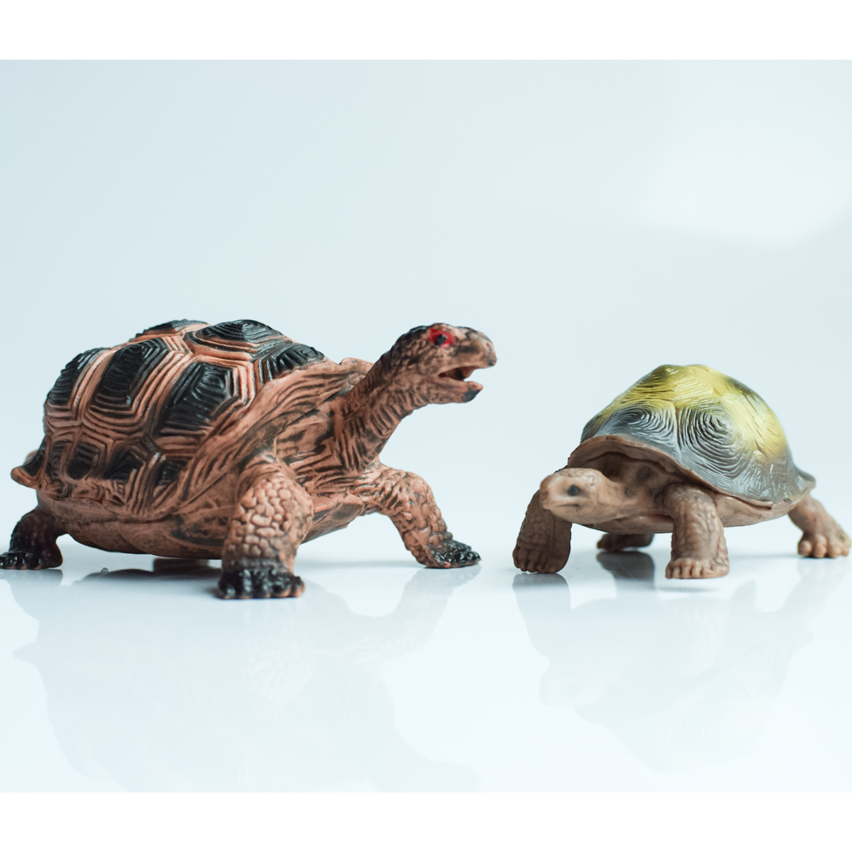 Painted Realistic Animal Turtl - Aquarium Planting avis et prix