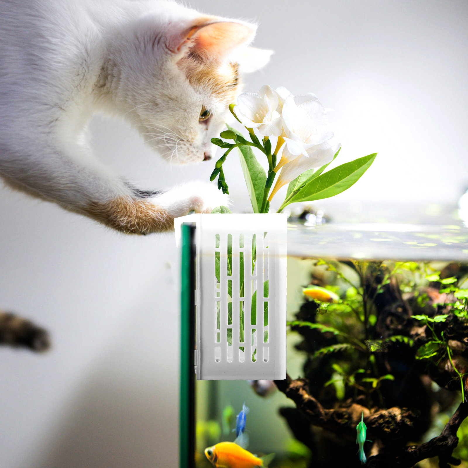 2Pcs Aquatic Plant Holder Hang - Aquarium Planted Tank Setup avis et prix