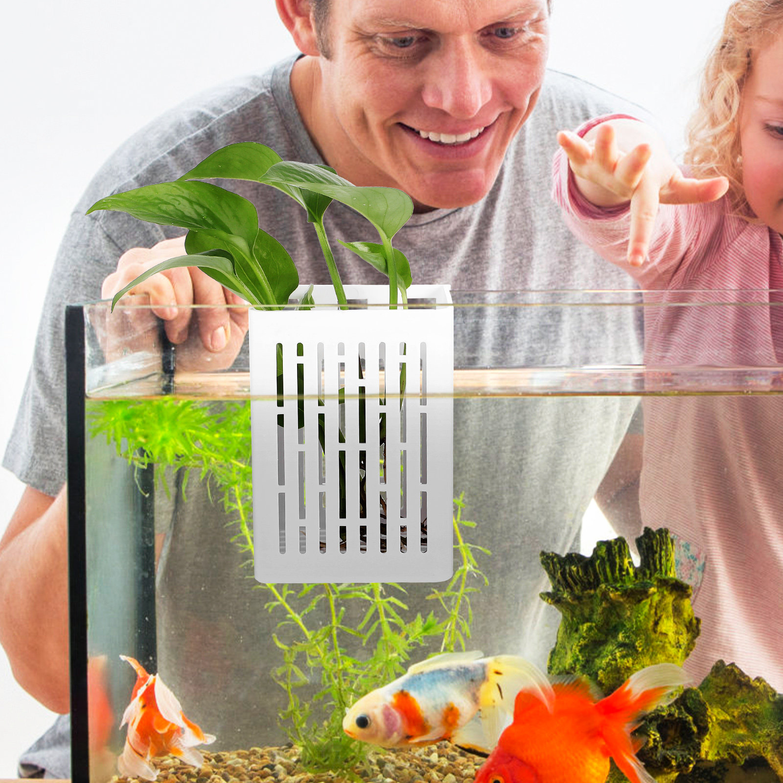 2Pcs Aquatic Plant Holder Hang - Aquarium Planted Tank Setup avis et prix