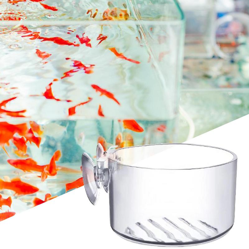 Aquarium Plant Pot Glass Cylin - Aquarium Plant Seeds avis et prix