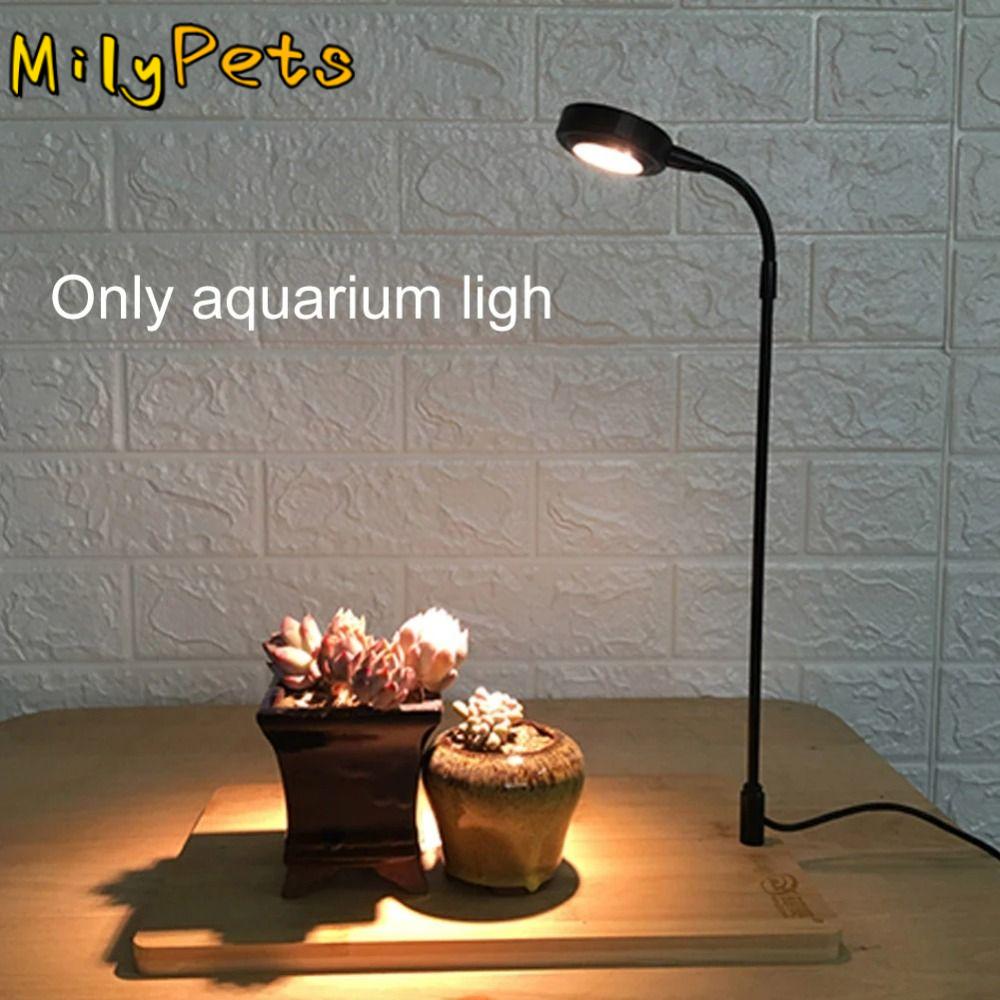 10W Aquarium Plant Fill Lamp w - Aquarium Plant On Wood avis et prix