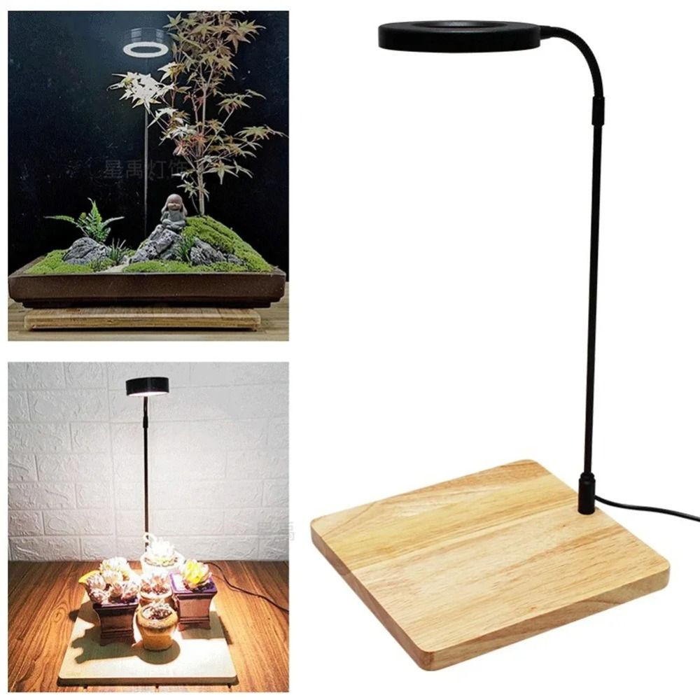 10W Aquarium Plant Fill Lamp w - Aquarium Plant On Wood avis et prix