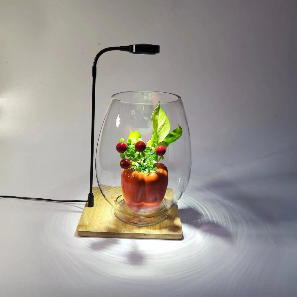 10W Aquarium Plant Fill Lamp w - Aquarium Plant On Wood avis et prix