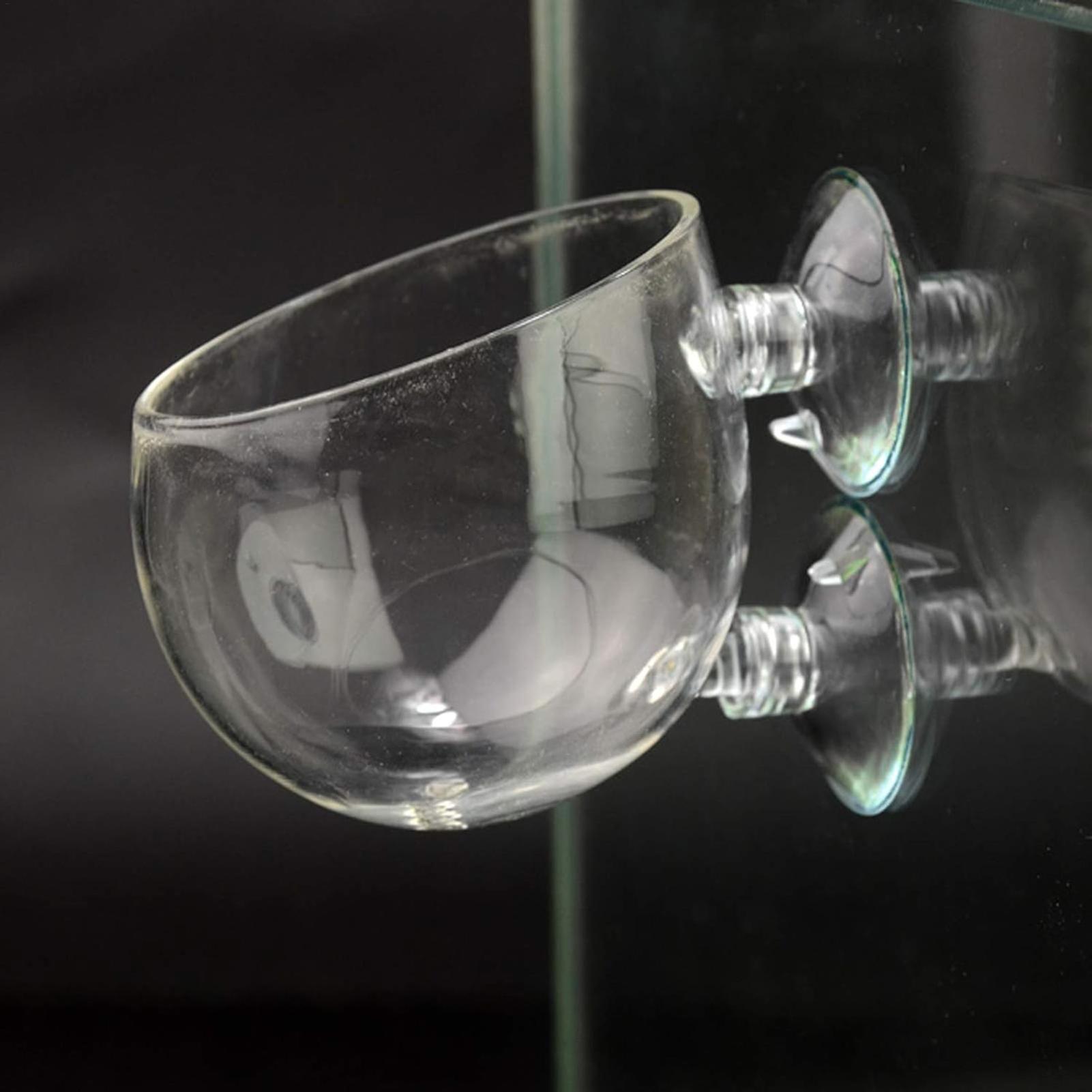 Aquarium Plant Holder Glass Aq - Aquarium Plant Live avis et prix