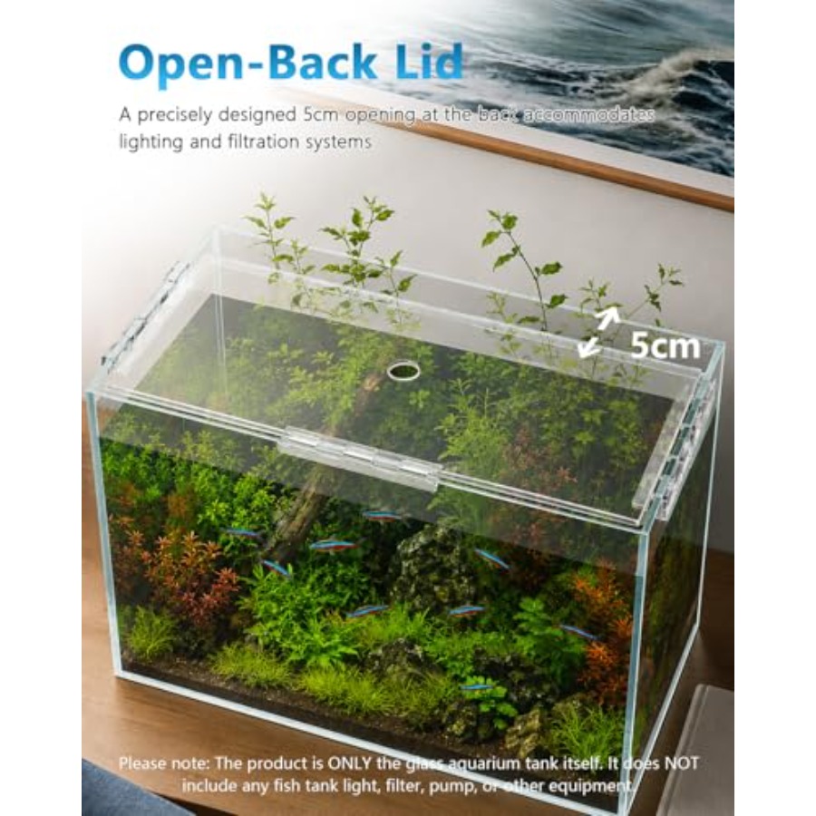 10 Gallon Glass Fish Tank Open - Planted Aquarium Betta avis et prix