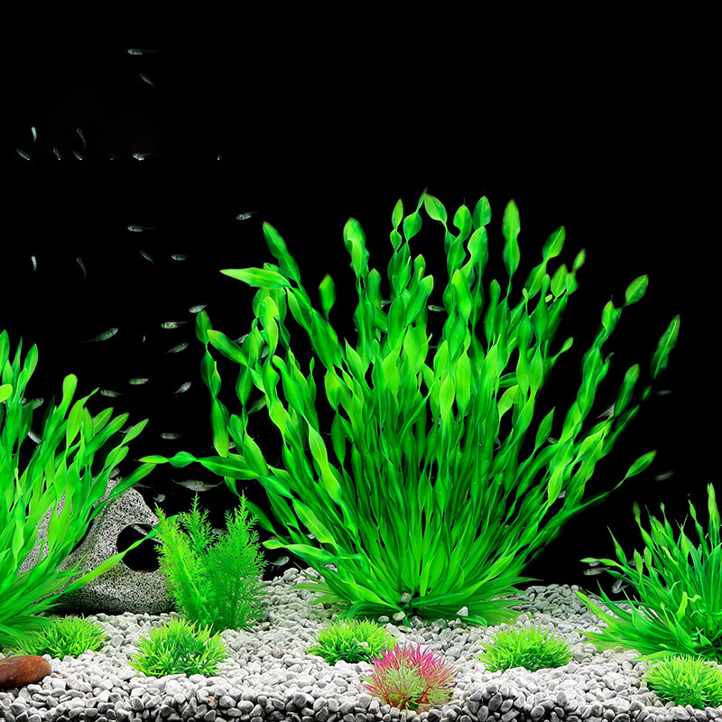 13/23/32/36/40cm Aquarium Arti - Aquarium Plant Seeds avis et prix