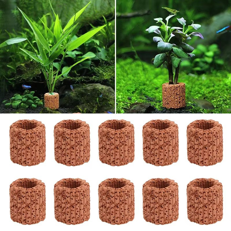Aquatic Plant Fixed Ring for A - Aquarium Plant Live avis et prix
