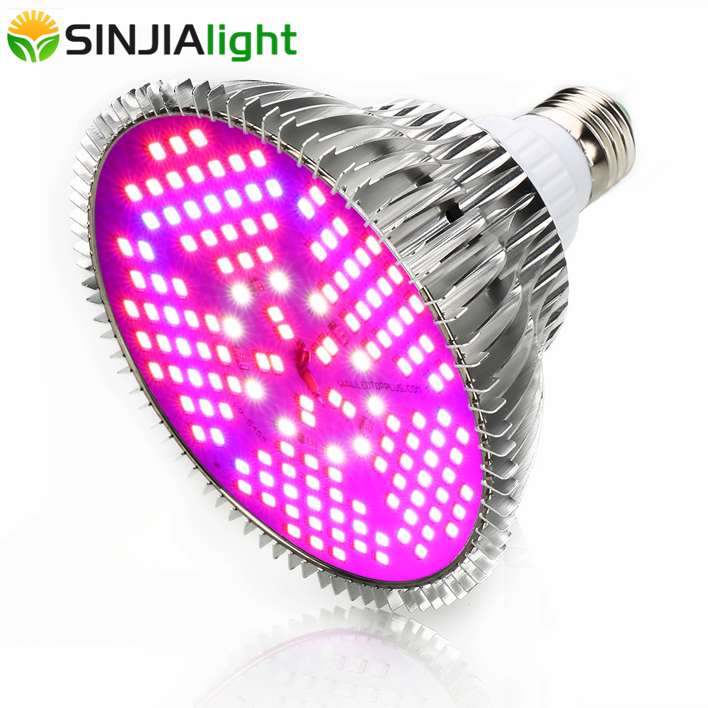 100W Full Spectrum LED Grow Li - Aquarium Plant Seeds avis et prix