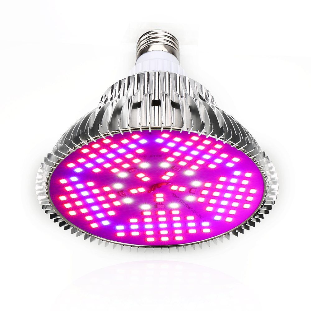 100W Full Spectrum LED Grow Li - Aquarium Plant Seeds avis et prix