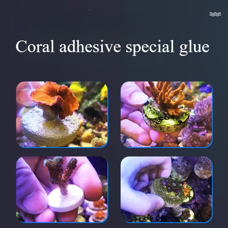 SPS LPS Coral Reef Frags Plug  - Aquarium Plant Glue Gel avis et prix