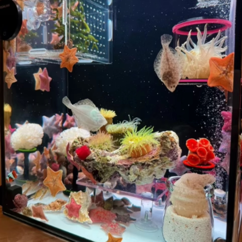 SPS LPS Coral Reef Frags Plug  - Aquarium Plant Glue Gel avis et prix