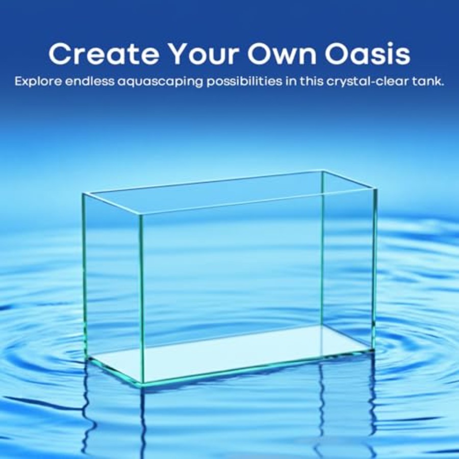 Glass Fish Tank Open-Back Lid  - Planted Aquarium Betta avis et prix