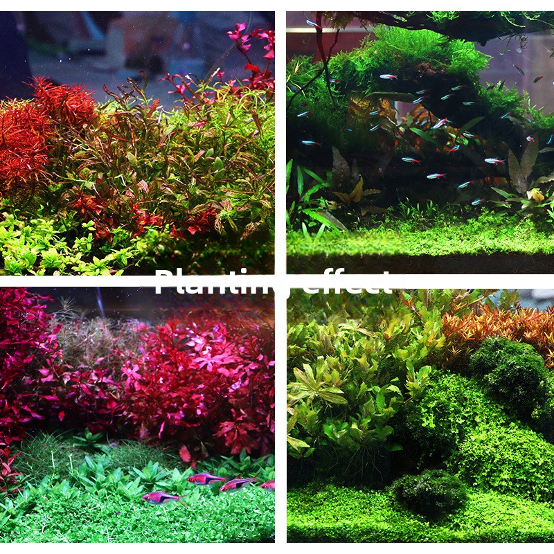 SYSENCIAGA Planted Aquarium Su - Aquarium Planted Tank Soil avis et prix