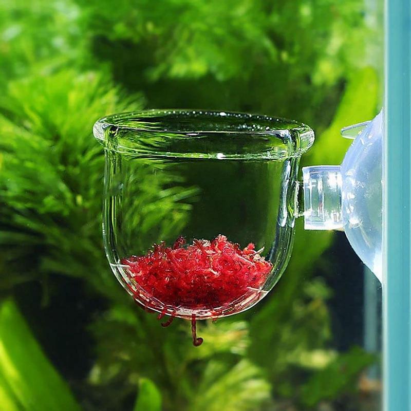 Acrylic Aquatic Plant Cup Aqua - Aquarium Plant Seeds avis et prix