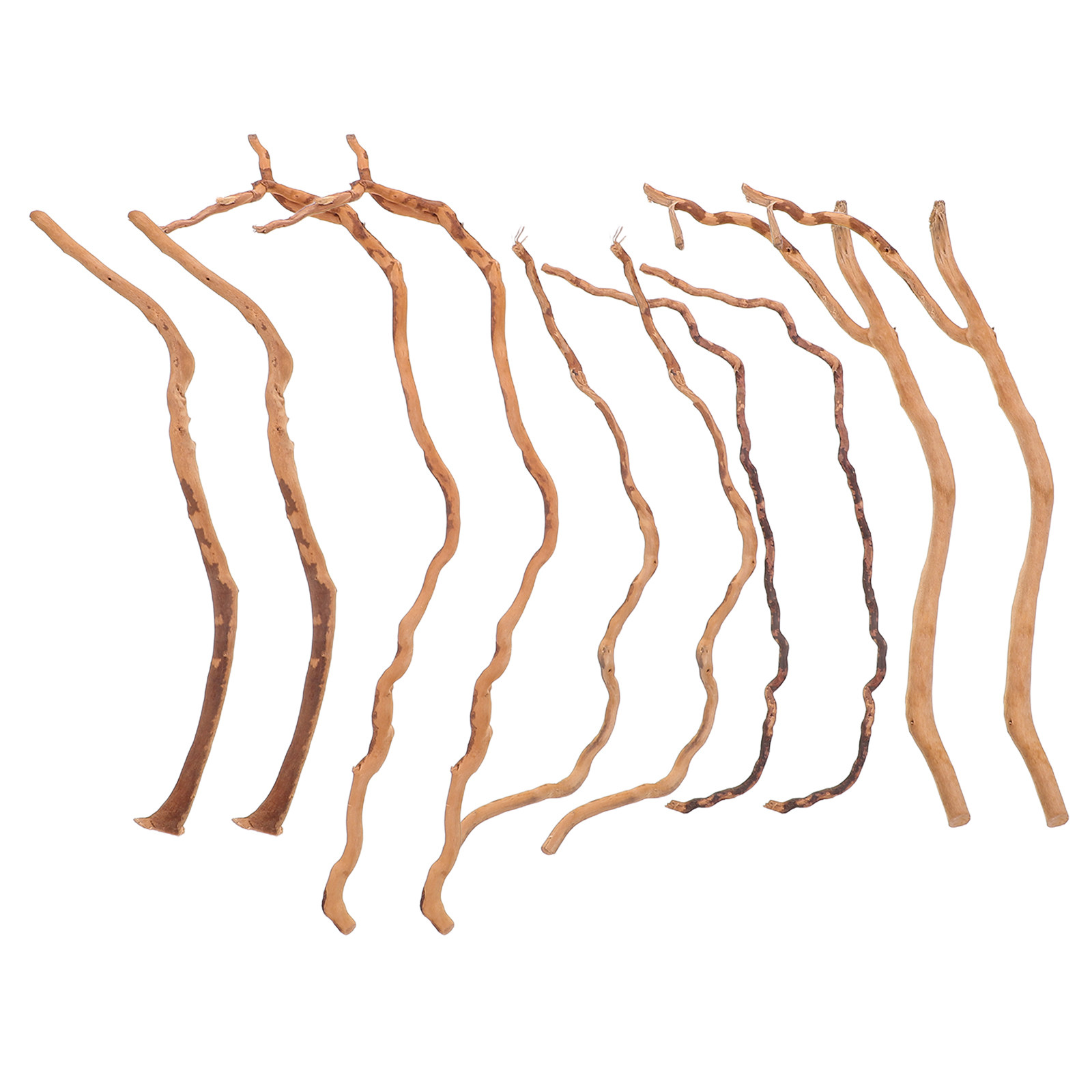 Natural Driftwood Branch For A - Aquarium Plant On Wood avis et prix