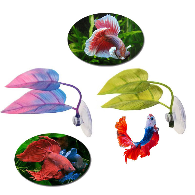 Artificial Aquatic Plant Aquar - Planted Aquarium Betta avis et prix