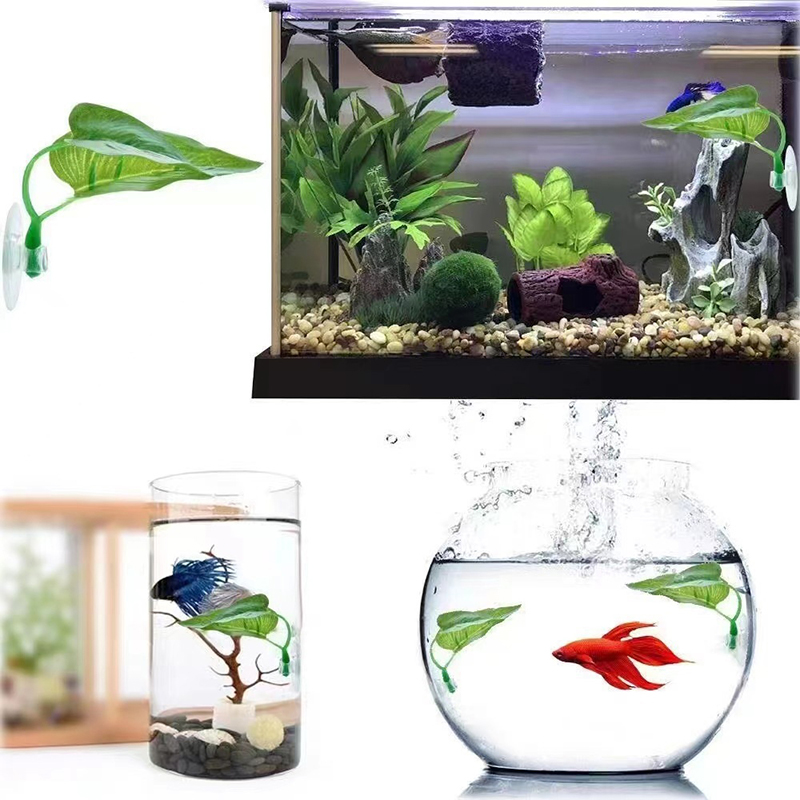 Artificial Aquatic Plant Aquar - Planted Aquarium Betta avis et prix